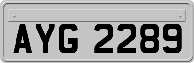 AYG2289