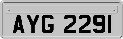 AYG2291