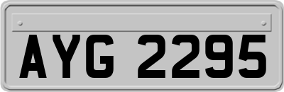 AYG2295