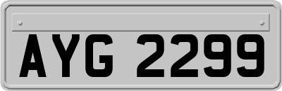 AYG2299
