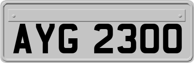 AYG2300