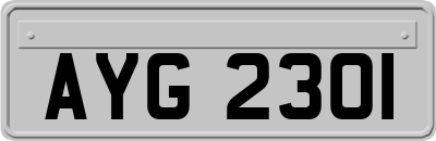 AYG2301