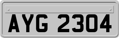 AYG2304