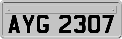AYG2307