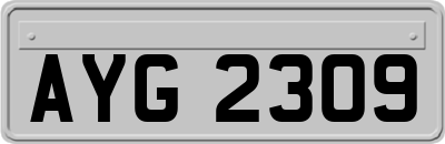 AYG2309