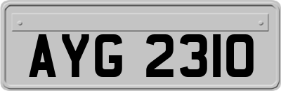AYG2310