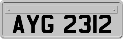 AYG2312