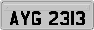 AYG2313