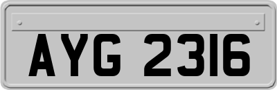 AYG2316