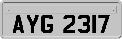 AYG2317