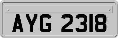 AYG2318