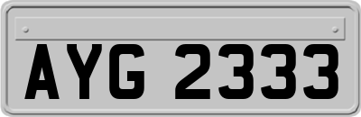 AYG2333