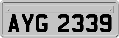 AYG2339