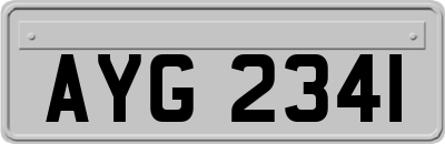 AYG2341