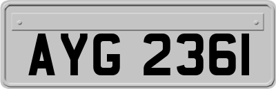 AYG2361