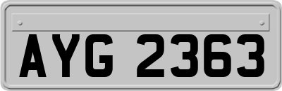 AYG2363
