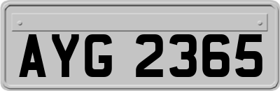 AYG2365