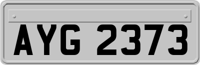 AYG2373