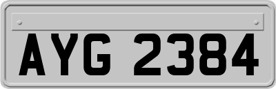 AYG2384