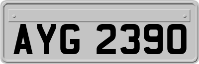 AYG2390
