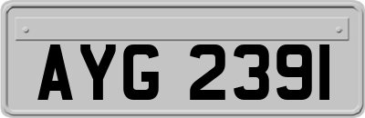 AYG2391