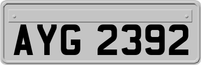 AYG2392