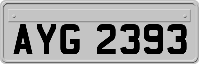 AYG2393