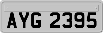 AYG2395