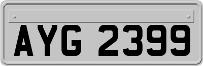 AYG2399
