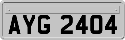 AYG2404