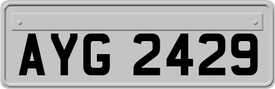 AYG2429
