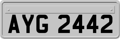 AYG2442
