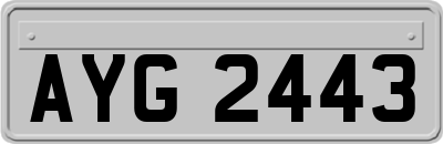 AYG2443