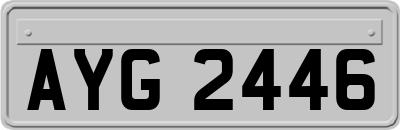 AYG2446