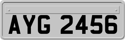 AYG2456