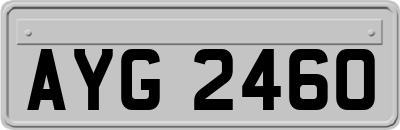 AYG2460