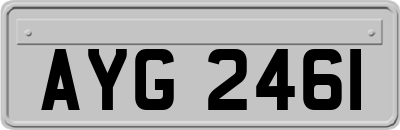 AYG2461