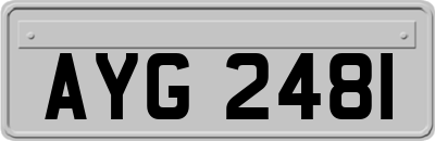 AYG2481