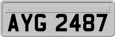 AYG2487