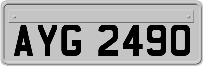 AYG2490