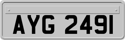 AYG2491