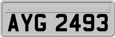 AYG2493