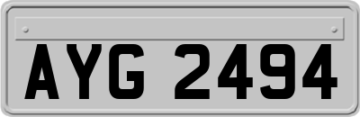 AYG2494