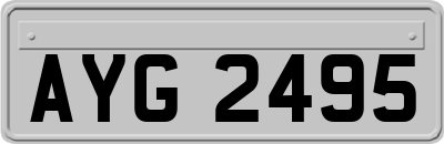 AYG2495