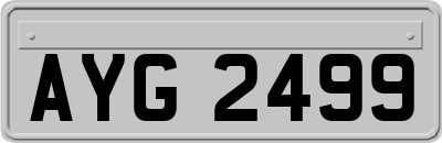AYG2499