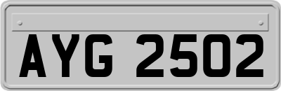 AYG2502