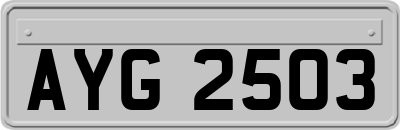 AYG2503