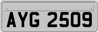 AYG2509