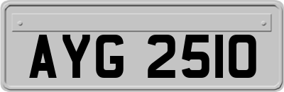 AYG2510