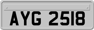 AYG2518